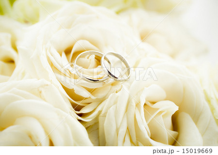 Macro of two wedding rings lying on white rose 15019669
