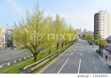 京都堀川通の風景 京都堀川通の風景 15020407