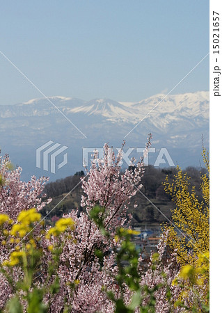 吾妻山 15021657