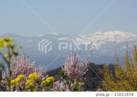 吾妻山 吾妻山 15021658