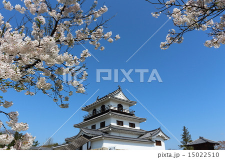 春の益岡公園　白石城三階櫓 15022510