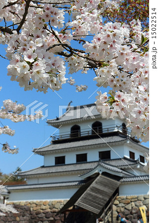春の益岡公園 白石城三階櫓 春の益岡公園 白石城三階櫓 15022514