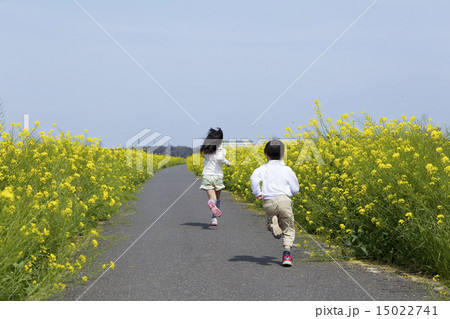 走る兄弟 競争 後ろ姿 走る兄弟 競争 後ろ姿 15022741