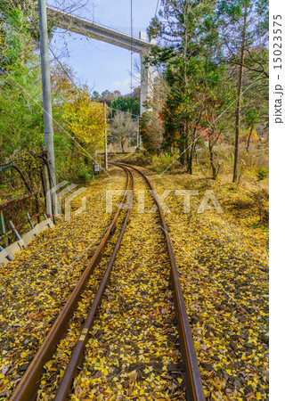 秋の旧JR川原湯温泉駅近くの線路 秋の旧JR川原湯温泉駅近くの線路 15023575