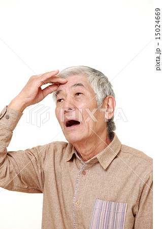 痴呆症にかかってしまった高齢者 痴呆症にかかってしまった高齢者 15024669
