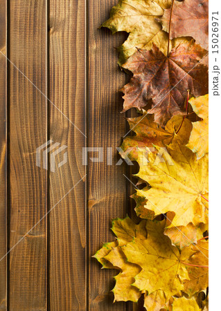 autumn leaves over wooden background 15026971