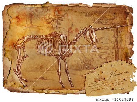 Unicorn - legendary animals and monsters Unicorn - legendary animals and monsters 15028692