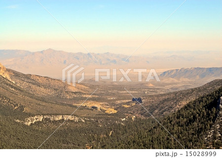 Canyon receding into desert Canyon receding into desert 15028999