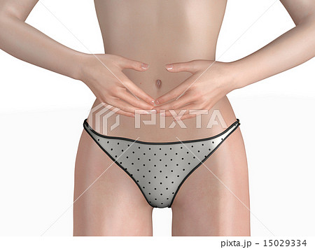 女性のお腹　リアル　３DCG　イラスト素材 15029334