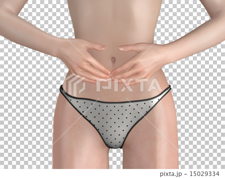 Female stomach real 3DCG illustration material 15029334