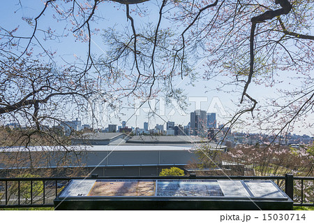 国際センターと仙台市全景 15030714