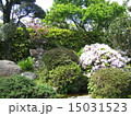 木々 15031523