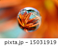 宙玉 15031919