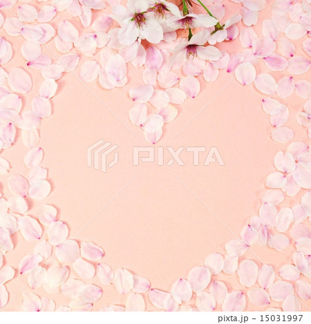 桜の背景素材 桜の花びらで描いたハート ピンクバック正方形花びらベタの写真素材