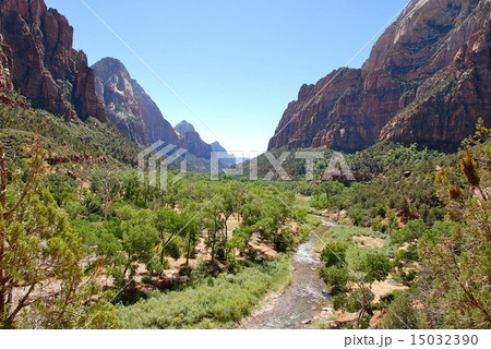 ザイオン国立公園 15032390