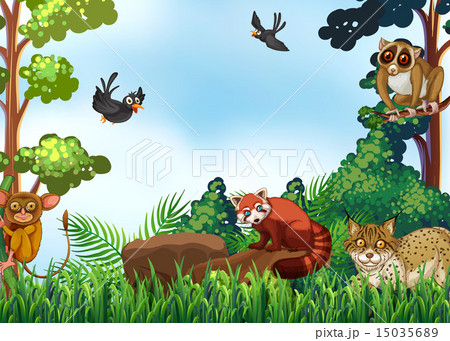 Animals 15035689