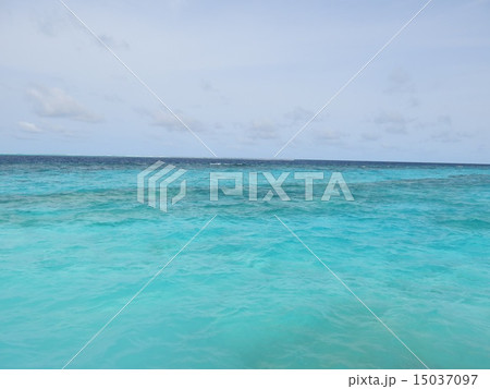 モルディブの海 15037097