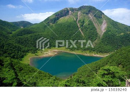 五色沼と日光白根山 15039240