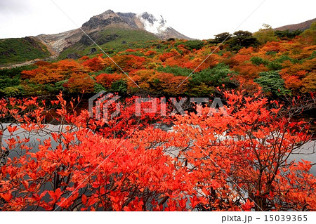 那須 姥ヶ平の紅葉と茶臼岳の写真素材