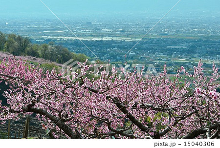 八代ふるさと公園からの眺め 15040306