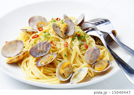 ボンゴレ 15040447