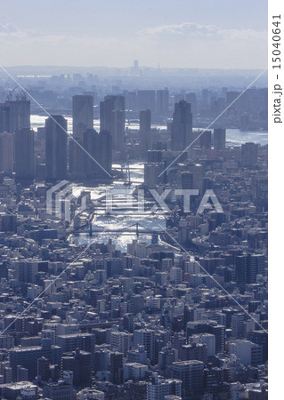 東京眺望 東京眺望 15040641