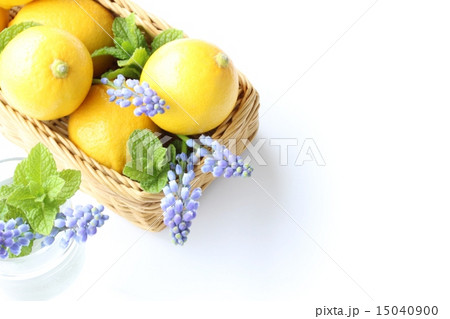 レモン レモン 15040900