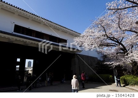 大阪城多聞櫓と桜 15041428