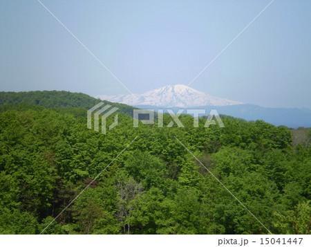 遠くの山と同じ高さ の写真素材