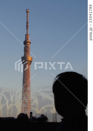 窓からの東京スカイツリー 15041789