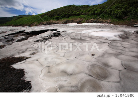 夏の月山弥陀ヶ原 15041980