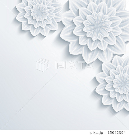 Floral elegant background, 3d flower chrysanthemum 15042394