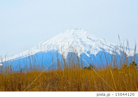 富士山（北富士演習場／山梨県富士吉田市･山中湖村･忍野村） 15044120