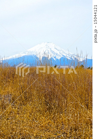 富士山（北富士演習場／山梨県富士吉田市･山中湖村･忍野村） 15044121