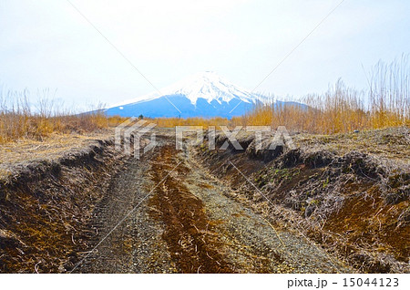 富士山（北富士演習場／山梨県富士吉田市･山中湖村･忍野村） 15044123
