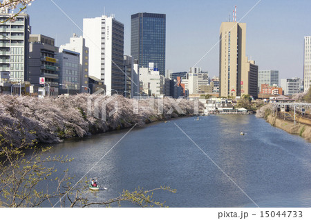 外濠の桜 外濠の桜 15044733