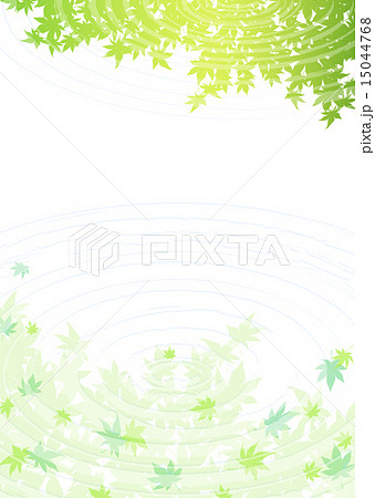 新緑 水面 青もみじ 新緑 水面 青もみじ 15044768