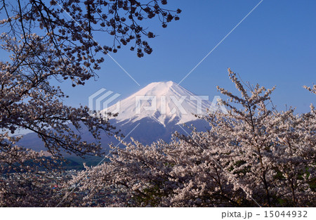 20150416富士見孝徳公園から桜・富士山 15044932