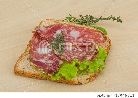 Salami sandwich Salami sandwich 15046611