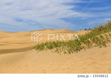 Maspalomas Duna - Desert in Canary island Gran Canaria 15046612