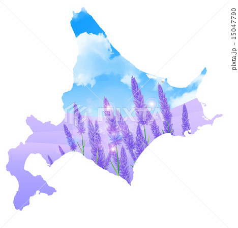 ラベンダー 北海道 背景のイラスト素材