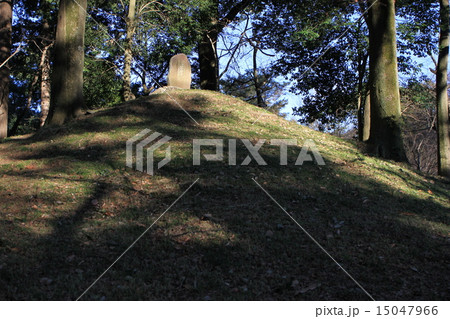 平林寺 15047966