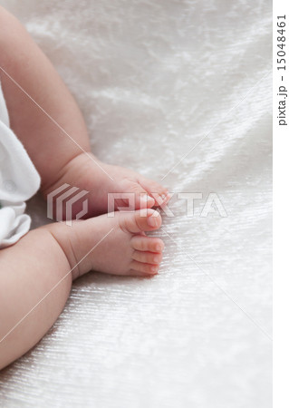 ベビーパーツ(足) ベビーパーツ(足) 15048461