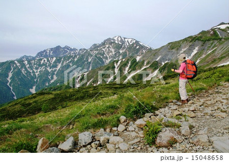 女性登山者八方尾根から北アルプスの五竜岳、鹿島槍ヶ岳の山岳風景を楽しむ 女性登山者八方尾根から北アルプスの五竜岳、鹿島槍ヶ岳の山岳風景を楽しむ 15048658
