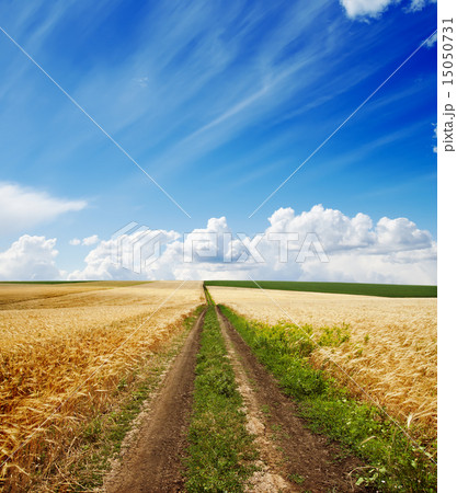 rural road under cloudy sky 15050731