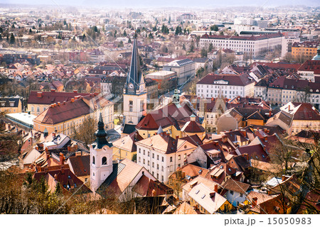 Arial view on Ljubljana city 15050983
