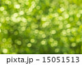 Abstract background with bokeh defocused lights 15051513