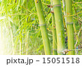 Bamboo forest background 15051518