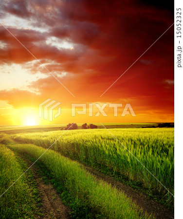 red sunset over rural road near green field 15052325