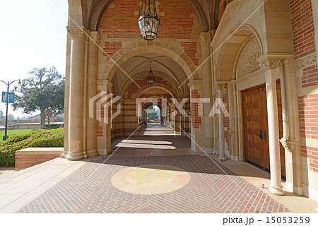 アメリカ　ロサンゼルス　UCLA 15053259